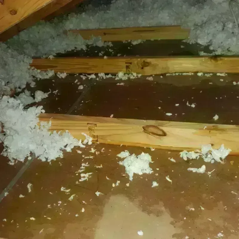 Attic Water Damage in City of Newport News, VA